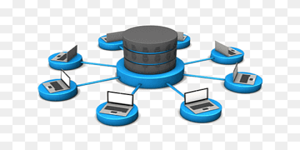 https://www.edutecbd.com/Database & Automation System (Server-Side)